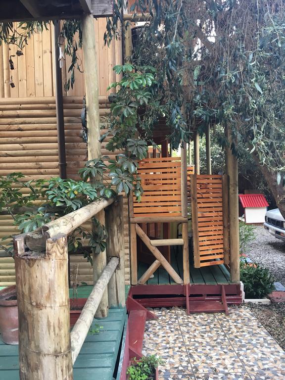 La Maison Des Fous Papudo Exterior photo